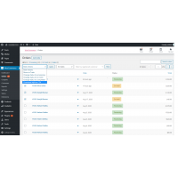 Bulk MyPost CSV