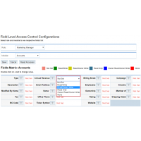 Choose the Access Rights for Desired Fields of Selected Module