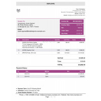 Duplicate Invoices with Duplicate Mark