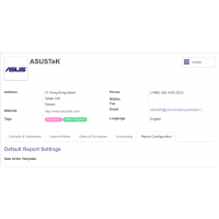 Set Report Template for Specific Customer