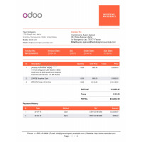 Professional Report Template