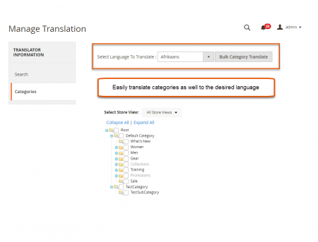 magento 2 multi language setup Bulk Category Translation